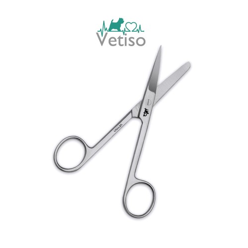 10bb.jpg
