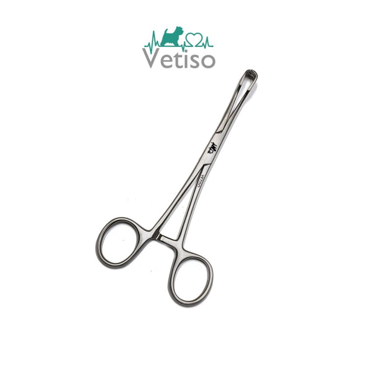 2aa.jpg